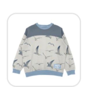 Taylor Swift 1989 seagull crewneck. XL (never been worn)